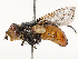  ( - CBG-A62839-C07)  @11 [ ] CreativeCommons - Attribution Share - Alike (2025) CBG Photography Group Centre for Biodiversity Genomics