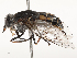  ( - CBG-A62839-C08)  @11 [ ] CreativeCommons - Attribution Share - Alike (2025) CBG Photography Group Centre for Biodiversity Genomics
