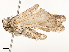  ( - CBG-A62840-F08)  @11 [ ] CreativeCommons - Attribution Share - Alike (2025) CBG Photography Group Centre for Biodiversity Genomics