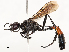  ( - CBG-A62841-C03)  @11 [ ] CreativeCommons - Attribution Share - Alike (2025) CBG Photography Group Centre for Biodiversity Genomics