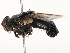  ( - CBG-A62841-D08)  @11 [ ] CreativeCommons - Attribution Share - Alike (2025) CBG Photography Group Centre for Biodiversity Genomics