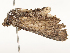  ( - CBG-A62841-E08)  @11 [ ] CreativeCommons - Attribution Share - Alike (2025) CBG Photography Group Centre for Biodiversity Genomics