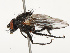  ( - CBG-B14650-A12)  @11 [ ] CreativeCommons - Attribution Share - Alike (2025) CBG Photography Group Centre for Biodiversity Genomics