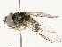  ( - CBG-B14650-E08)  @11 [ ] CreativeCommons - Attribution Share - Alike (2025) CBG Photography Group Centre for Biodiversity Genomics