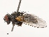  ( - CBG-B14651-D07)  @11 [ ] CreativeCommons - Attribution Share - Alike (2025) CBG Photography Group Centre for Biodiversity Genomics