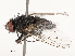  ( - CBG-B14653-D05)  @11 [ ] CreativeCommons - Attribution Share - Alike (2025) CBG Photography Group Centre for Biodiversity Genomics