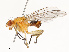 ( - CBG-B14653-G01)  @11 [ ] CreativeCommons - Attribution Share - Alike (2025) CBG Photography Group Centre for Biodiversity Genomics