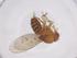  (Drosophila suboccidentalis - CBG-B14671-E06)  @11 [ ] CreativeCommons - Attribution Share - Alike (2025) Centre for Biodiversity Genomics Centre for Biodiversity Genomics