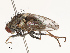  ( - CBG-B14767-G08)  @11 [ ] CreativeCommons - Attribution Share - Alike (2025) CBG Photography Group Centre for Biodiversity Genomics