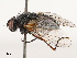 ( - CBG-B14777-B04)  @11 [ ] CreativeCommons - Attribution Share - Alike (2025) CBG Photography Group Centre for Biodiversity Genomics