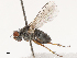  ( - CBG-B14778-A08)  @11 [ ] CreativeCommons - Attribution Share - Alike (2025) CBG Photography Group Centre for Biodiversity Genomics