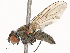  ( - CBG-B14778-D05)  @11 [ ] CreativeCommons - Attribution Share - Alike (2025) CBG Photography Group Centre for Biodiversity Genomics