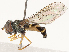  ( - CBG-B14783-C04)  @11 [ ] CreativeCommons - Attribution Share - Alike (2025) CBG Photography Group Centre for Biodiversity Genomics