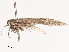  ( - CBG-B14785-E03)  @11 [ ] CreativeCommons - Attribution Share - Alike (2025) CBG Photography Group Centre for Biodiversity Genomics