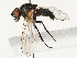  ( - CBG-B14788-A03)  @11 [ ] CreativeCommons - Attribution Share - Alike (2025) CBG Photography Group Centre for Biodiversity Genomics