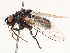  ( - CBG-B14788-E10)  @11 [ ] CreativeCommons - Attribution Share - Alike (2025) CBG Photography Group Centre for Biodiversity Genomics