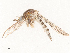 ( - CBG-B14788-H09)  @11 [ ] CreativeCommons - Attribution Share - Alike (2025) CBG Photography Group Centre for Biodiversity Genomics