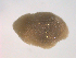  ( - 10BCMOL-00099)  @12 [ ] Unspecified (default): All Rights Reserved  Unspecified Unspecified