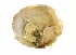  ( - 10BCMOL-00124)  @12 [ ] Unspecified (default): All Rights Reserved  Unspecified Unspecified
