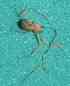  ( - BCMS-0600)  @12 [ ] Unspecified (default): All Rights Reserved  Unspecified Unspecified