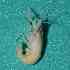  ( - BCMS-0713)  @11 [ ] Unspecified (default): All Rights Reserved  Unspecified Unspecified