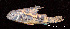  ( - LBPV 55247)  @13 [ ] CreativeCommons - Attribution (2013) Claudio de Oliveira Laboratório de Biologia e Genética de Peixes - UNESP - Botucatu