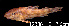  ( - LBPV 12338)  @11 [ ] CreativeCommons - Attribution (2013) Claudio de Oliveira Laboratório de Biologia e Genética de Peixes - UNESP - Botucatu