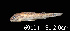  (Aspidoras psammatides - LBPV 69104)  @14 [ ] CreativeCommons - Attribution (2013) Claudio de Oliveira Laboratório de Biologia e Genética de Peixes - UNESP - Botucatu