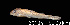  ( - LBPV 69105)  @14 [ ] CreativeCommons - Attribution (2013) Claudio de Oliveira Laboratório de Biologia e Genética de Peixes - UNESP - Botucatu
