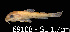  ( - LBPV 69108)  @11 [ ] CreativeCommons - Attribution (2013) Claudio de Oliveira Laboratório de Biologia e Genética de Peixes - UNESP - Botucatu