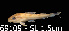  ( - LBPV 69109)  @11 [ ] CreativeCommons - Attribution (2013) Claudio de Oliveira Laboratório de Biologia e Genética de Peixes - UNESP - Botucatu
