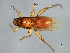  ( - BCAAJN-T6-1)  @12 [ ] CreativeCommons - Attribution (2010) Unspecified Centre for Biodiversity Genomics