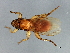  ( - BCAAJN-T11-1)  @14 [ ] CreativeCommons - Attribution (2010) Unspecified Centre for Biodiversity Genomics