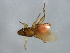  ( - BCAAJN-S41-1)  @12 [ ] CreativeCommons - Attribution (2010) Unspecified Centre for Biodiversity Genomics