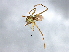  ( - BCAAJN-E23-2)  @13 [ ] CreativeCommons - Attribution (2010) Unspecified Centre for Biodiversity Genomics