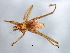  ( - BCAAJN-S15-2)  @13 [ ] CreativeCommons - Attribution (2010) Unspecified Centre for Biodiversity Genomics