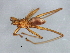  ( - BCAAJN-S15-3)  @13 [ ] CreativeCommons - Attribution (2010) Unspecified Centre for Biodiversity Genomics