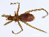  ( - BCBG-302-01)  @13 [ ] CreativeCommons - Attribution (2010) CBG Photography Group Centre for Biodiversity Genomics