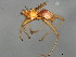  ( - BCBG-EXTRA-02)  @14 [ ] CreativeCommons - Attribution (2010) CBG Photography Group Centre for Biodiversity Genomics