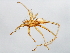  ( - BCAAJN-F7-3)  @14 [ ] CreativeCommons - Attribution (2010) Unspecified Centre for Biodiversity Genomics