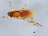  ( - BCAAJN-T46-3)  @12 [ ] CreativeCommons - Attribution (2010) Unspecified Centre for Biodiversity Genomics