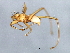  ( - BCAAJN-X3-1)  @13 [ ] CreativeCommons - Attribution (2010) Unspecified Centre for Biodiversity Genomics