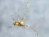  ( - BCAAJN-E19-1)  @13 [ ] CreativeCommons - Attribution (2010) Unspecified Centre for Biodiversity Genomics