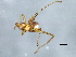  ( - BCAAJN-M20-1)  @12 [ ] CreativeCommons - Attribution (2010) Unspecified Centre for Biodiversity Genomics