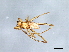  ( - BCAAJN-N28-3)  @13 [ ] CreativeCommons - Attribution (2010) Unspecified Centre for Biodiversity Genomics