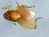  ( - BCAAJN-S13-1)  @13 [ ] CreativeCommons - Attribution (2010) Unspecified Centre for Biodiversity Genomics