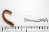  ( - BAMPOL0069)  @14 [ ] CreativeCommons - Attribution (2008) Unspecified Centre for Biodiversity Genomics