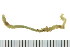  ( - BAMPOL0153)  @13 [ ] CreativeCommons - Attribution (2010) Unspecified Centre for Biodiversity Genomics