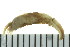  ( - BAMPOL0362)  @13 [ ] CreativeCommons - Attribution (2010) Unspecified Centre for Biodiversity Genomics