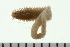  ( - BAMPOL0420)  @12 [ ] CreativeCommons - Attribution (2010) Unspecified Centre for Biodiversity Genomics